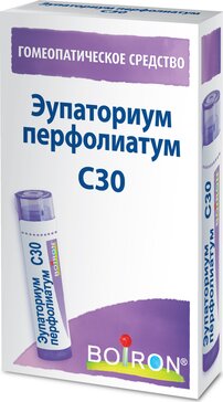 Эупаториум перфолиатум С30 гранулы гомеопатические 4 г Эупаториум перфолиатум С30 гранулы гомеопатические 4 г