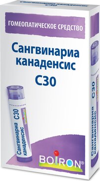 Сангвинариа канаденсис С30 гранулы гомеопат 4 г Сангвинариа канаденсис С30 гранулы гомеопат 4 г
