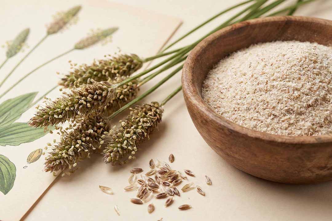 01. Что такое псиллиум и чем он отличается от обычного подорожника