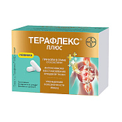 Терафлекс Плюс капс №60
