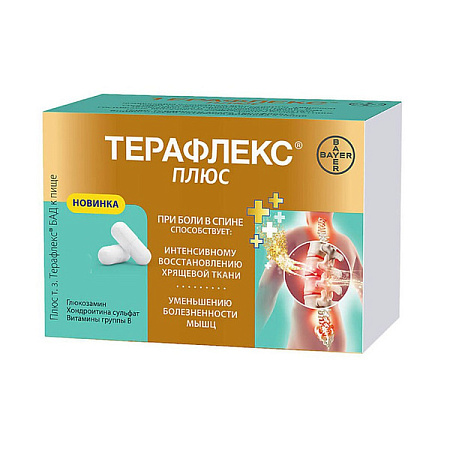 Терафлекс Плюс капс №60