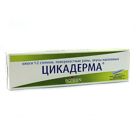 Цикадерма мазь для наружного применения гомеопатическая 30 г