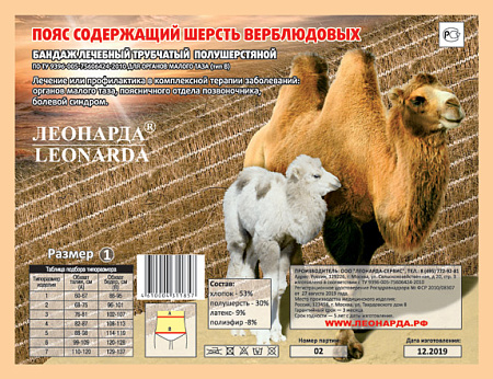 Пояс согревающий Леонарда (Leonarda) эластичный из шерсти верблюда р6 (XXL)