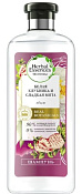 Шампунь Хербал Эсенсес (Herbal Essences) для волос Белая клубника и сладкая мята 400 мл